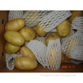 /msite/products/detail/productid/56996954/id/573198.html